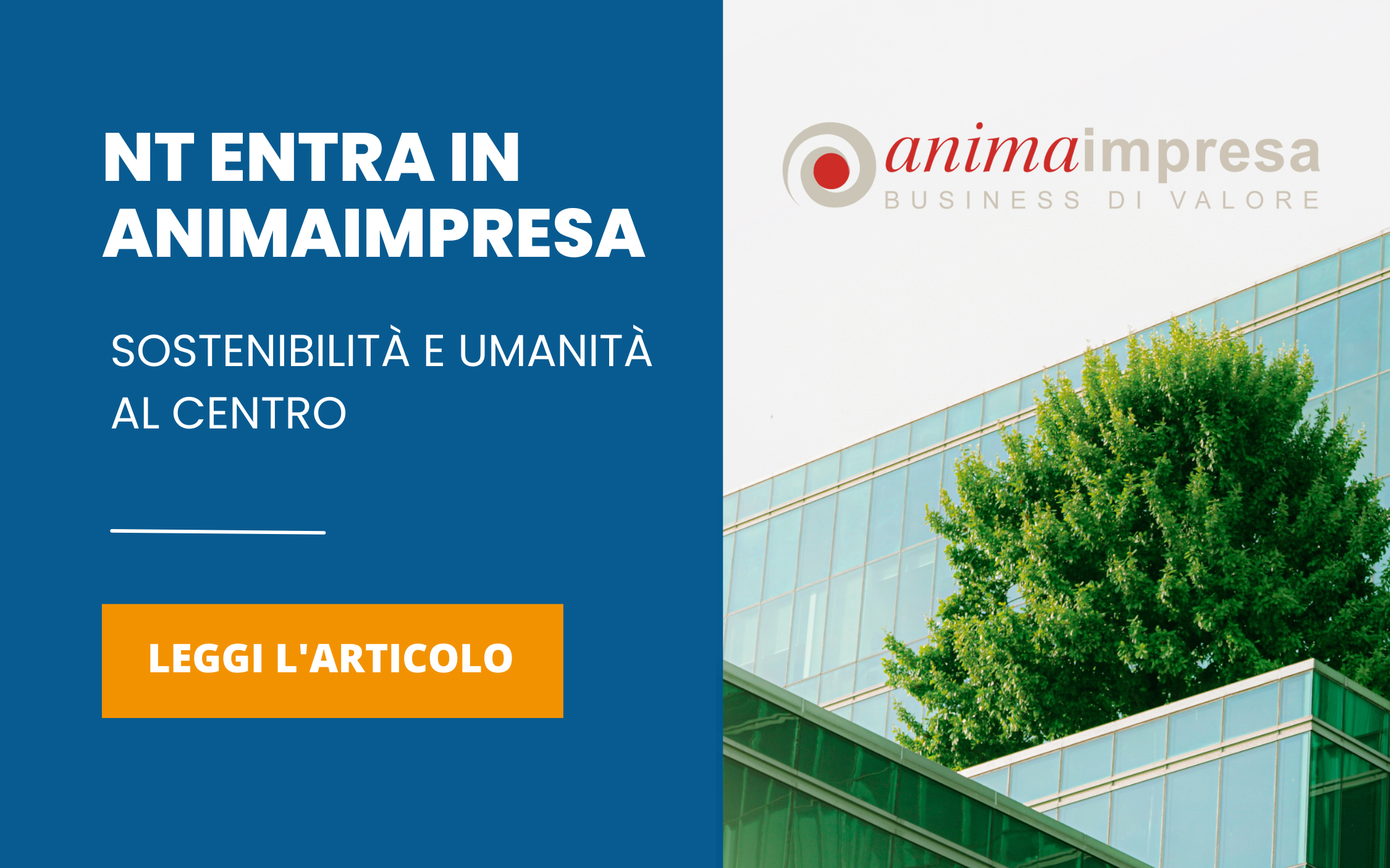 comuncato nt animaimpresa